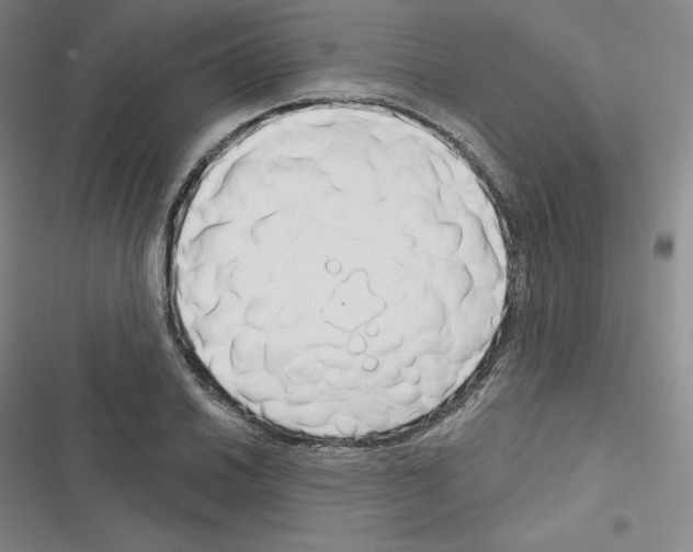 X0000116301030201001111113