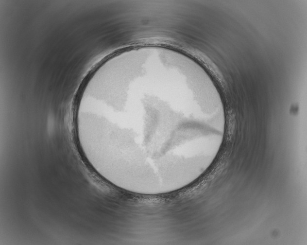 X0000116301031201001111113