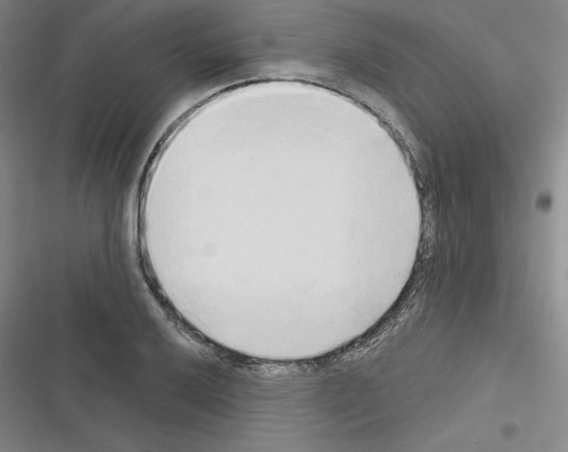 X0000116301032201001111113