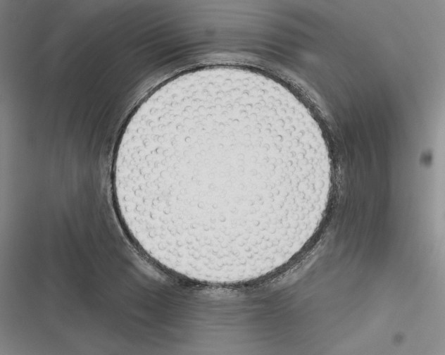 X0000116301033201001111113