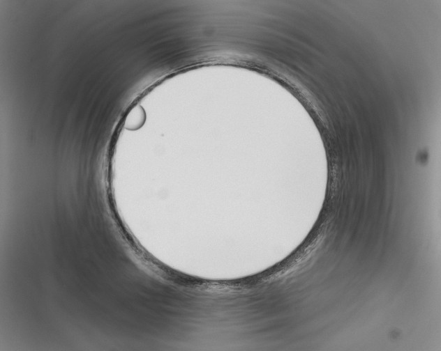 X0000116301034201001111113