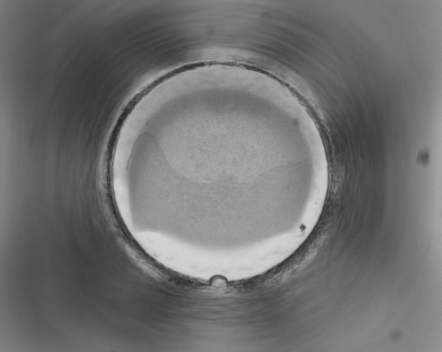 X0000116301037201001111113