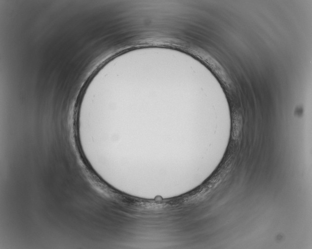 X0000116301039201001111113