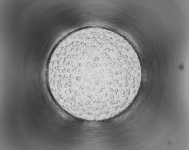 X0000116301040201001111113