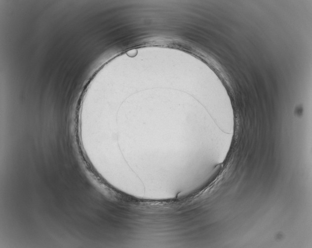 X0000116301042201001111113