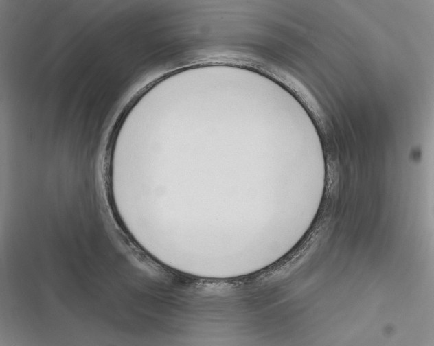 X0000116301043201001111113