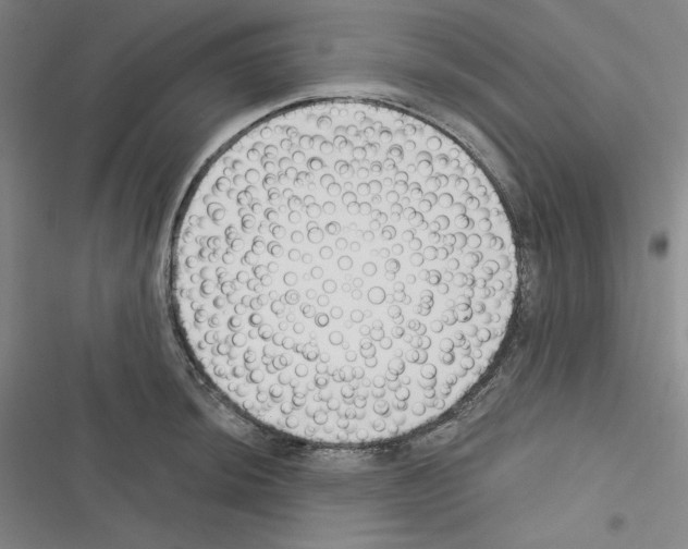 X0000116301044201001111113