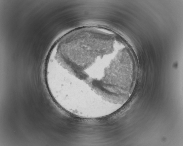 X0000116301045201001111113