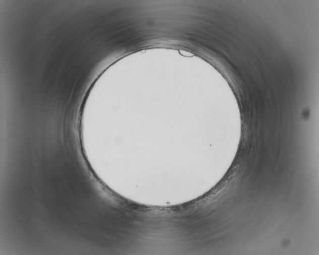 X0000116301050201001111113