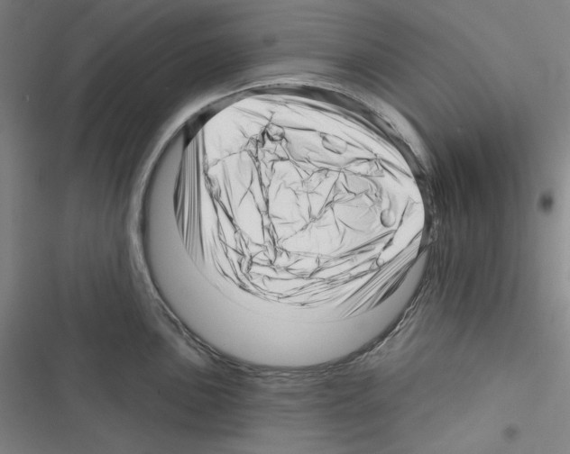 X0000116301051201001111113