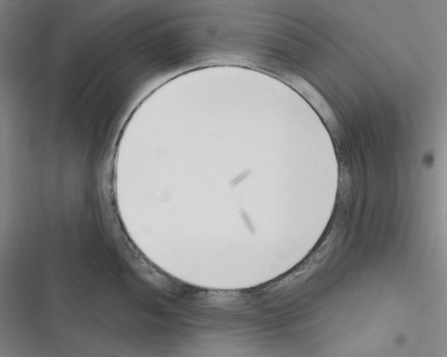 X0000116301052201001111113