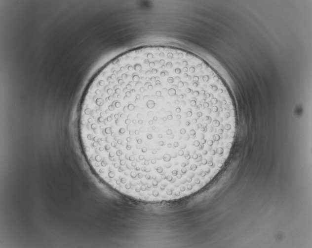 X0000116301053201001111113