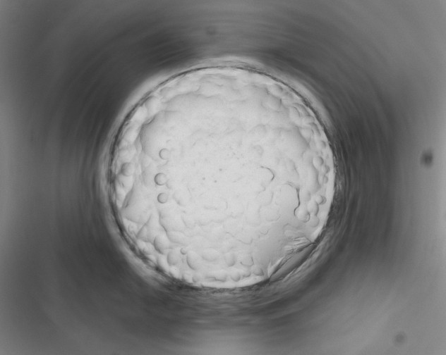 X0000116301054201001111113