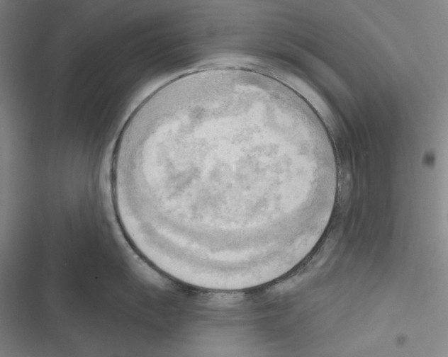 X0000116301055201001111113