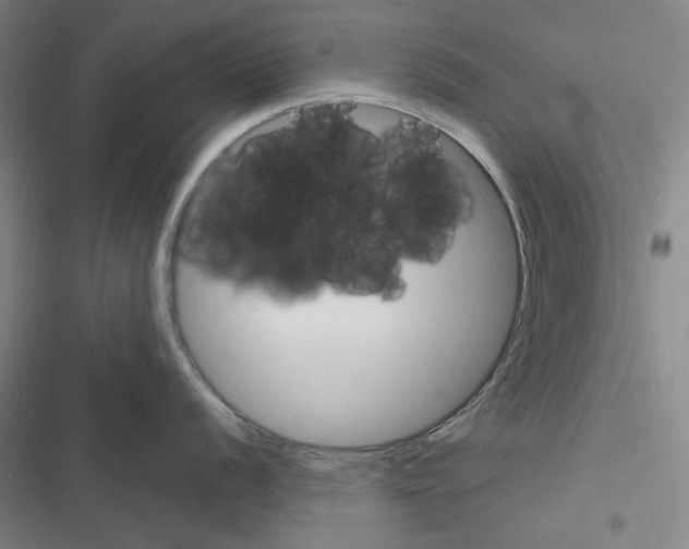 X0000116301056201001111113