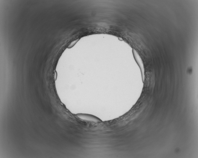 X0000116301057201001111113