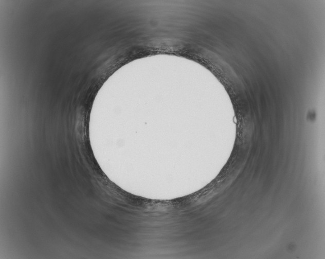 X0000116301058201001111113