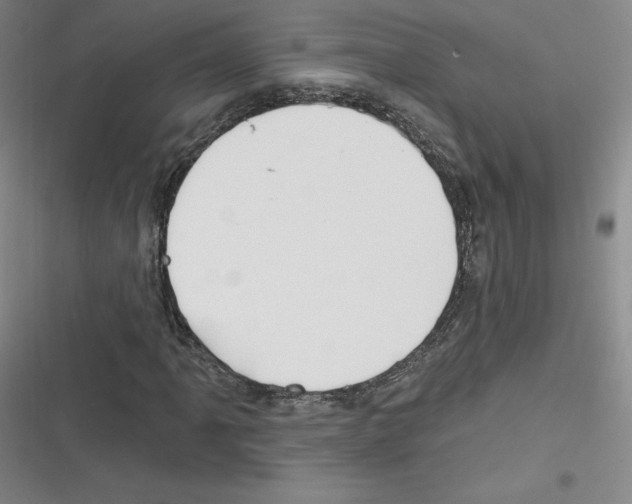 X0000116301061201001111113