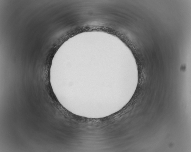 X0000116301062201001111113