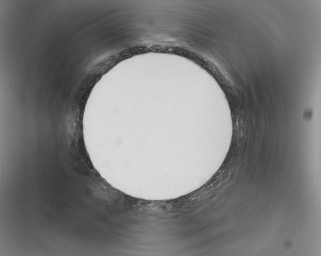 X0000116301063201001111113