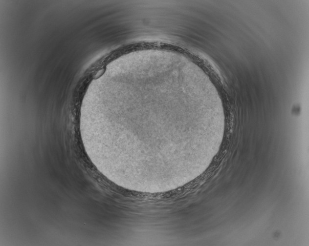 X0000116301064201001111113