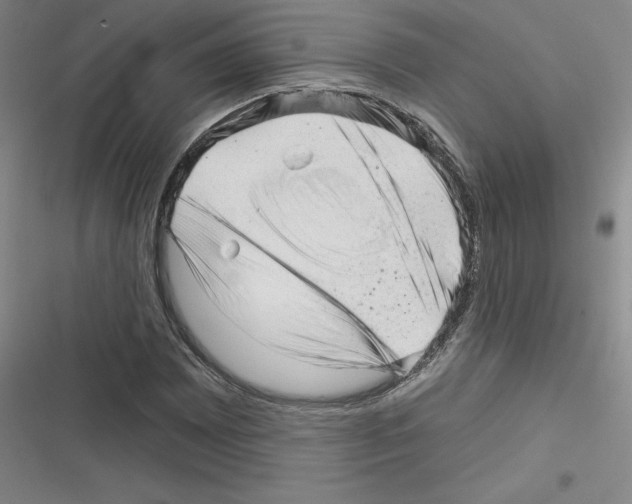 X0000116301065201001111113