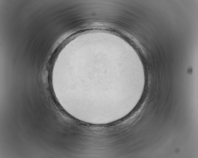 X0000116301066201001111113