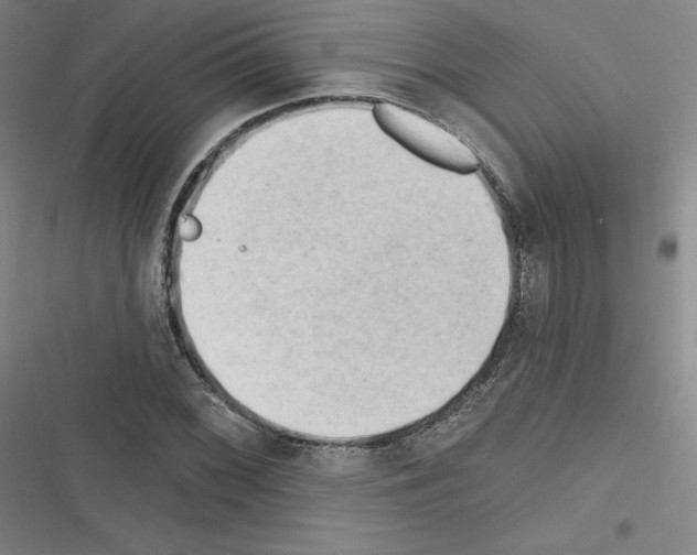 X0000116301068201001111112