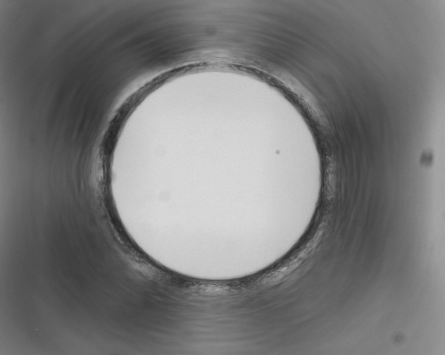 X0000116301070201001111112