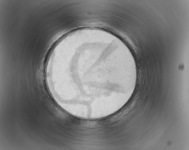 X0000116301071201001111112