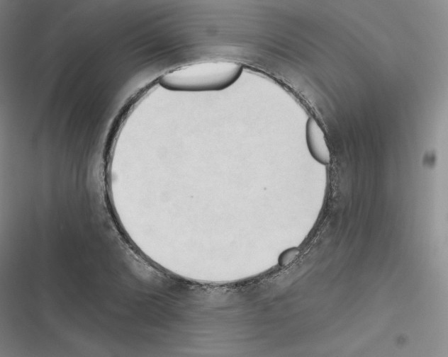 X0000116301072201001111112