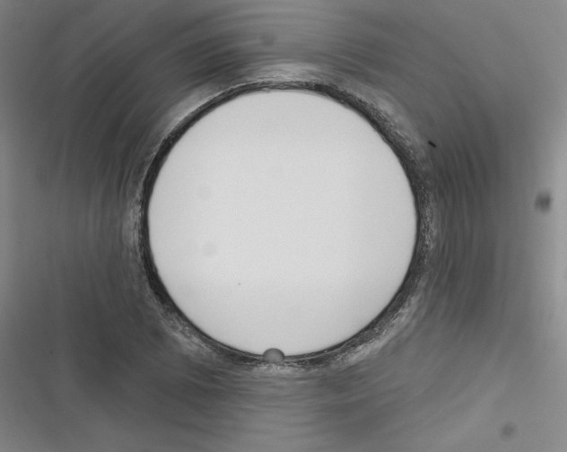 X0000116301073201001111112