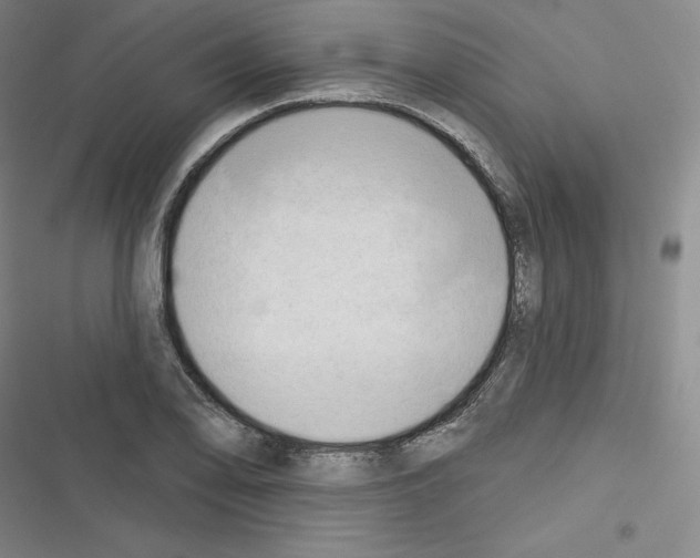 X0000116301078201001111112