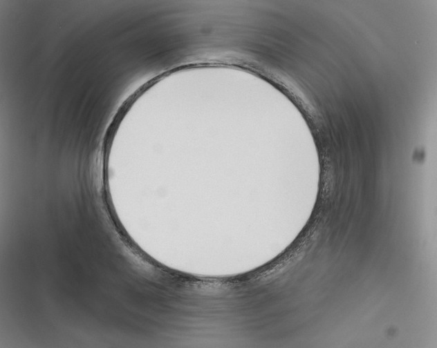 X0000116301079201001111112