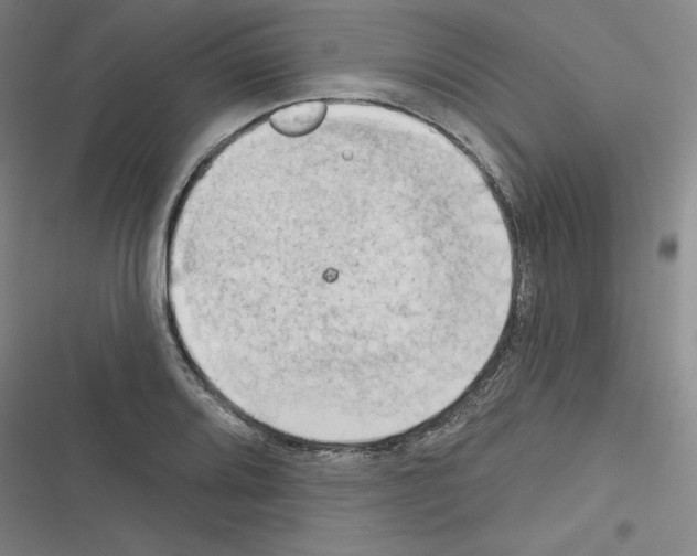 X0000116301080201001111112