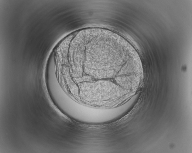 X0000116301084201001111112