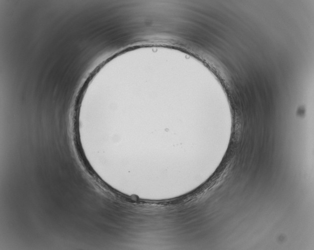 X0000116301085201001111112