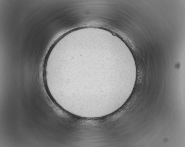 X0000116301086201001111112