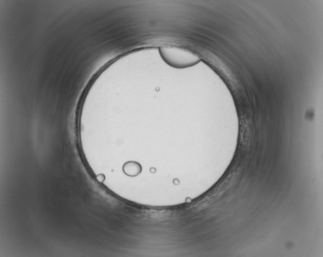 X0000116301087201001111112