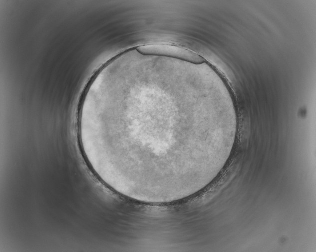 X0000116301088201001111112