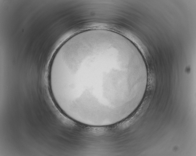 X0000116301090201001111112