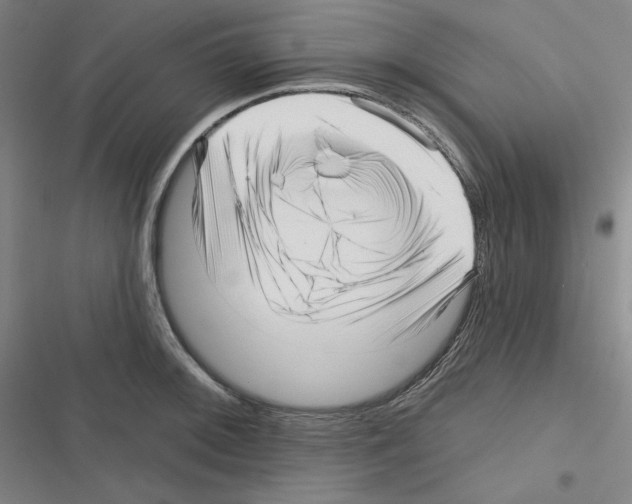 X0000116301092201001111112