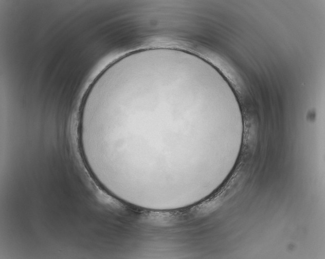 X0000116301094201001111112