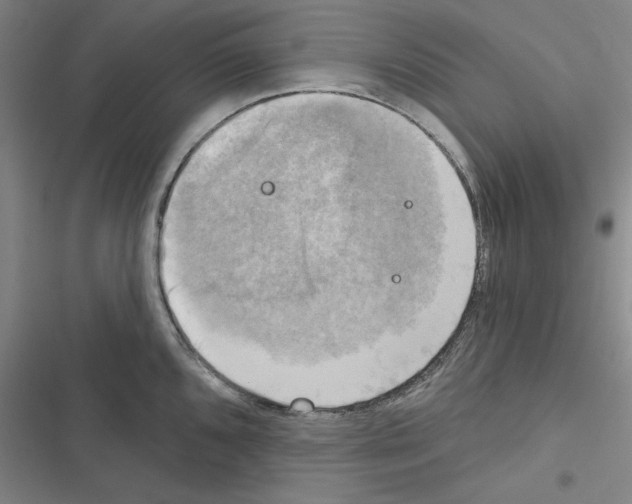 X0000116301096201001111112