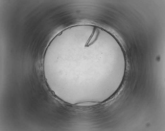 X0000116301097201001111112