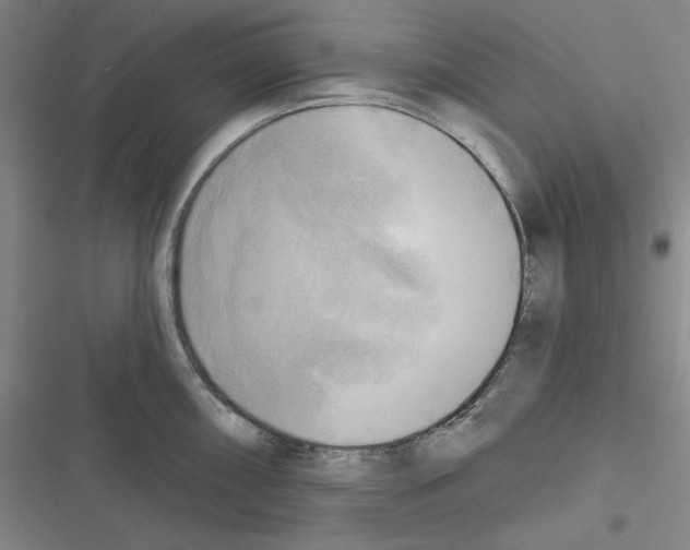 X0000116301098201001111112