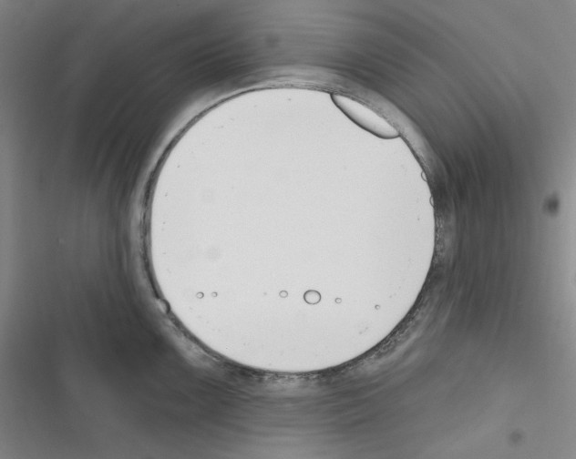 X0000116301099201001111112