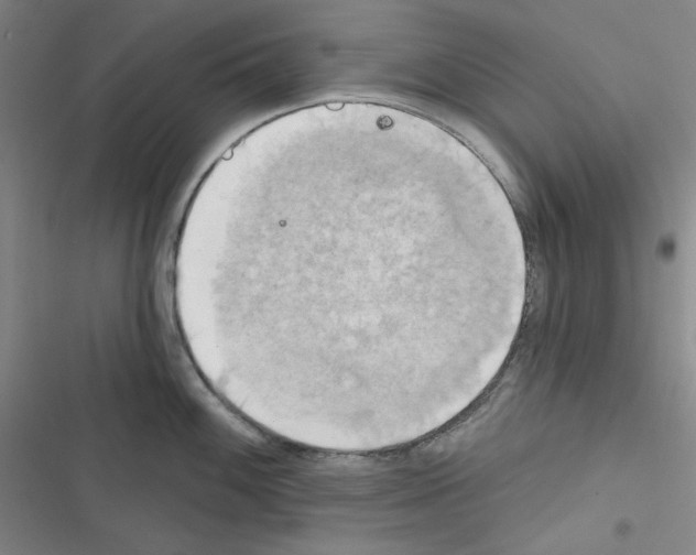 X0000116301100201001111112