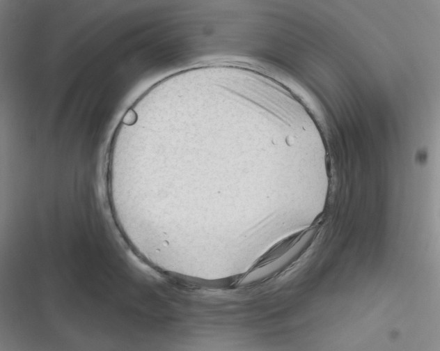 X0000116301102201001111112