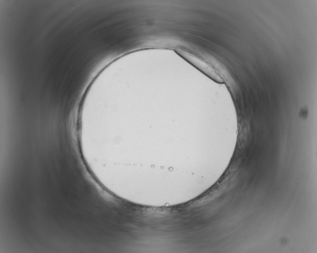 X0000116301103201001111112